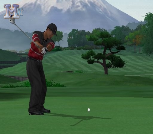 Tiger Woods PGA Tour 2004