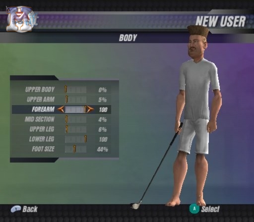 Tiger Woods PGA Tour 2004