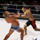 PRIDE Fighting Championship