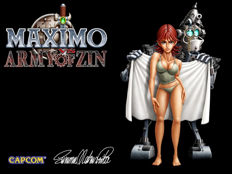 Maximo Versus Army of Zin