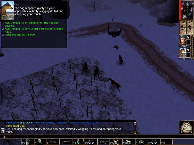 NWN: Shadows of Undrentide - Recensione