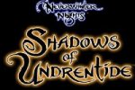 NWN: Shadows of Undrentide - nuovi screenshots - Recensione