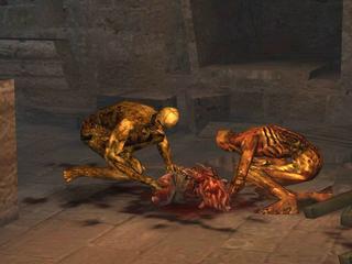 Return to Castle Wolfenstein: Operation Resurrection