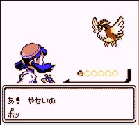 Pokémon History: Gotta catch'em all! - Part Two