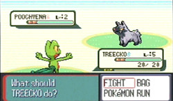 Pokémon History: Gotta catch'em all! - Part One Pokémon History: Gotta catch'em all! - Part One