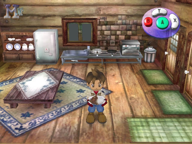 Harvest Moon: A Wonderful Life
