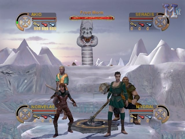 Dungeons & Dragons Heroes