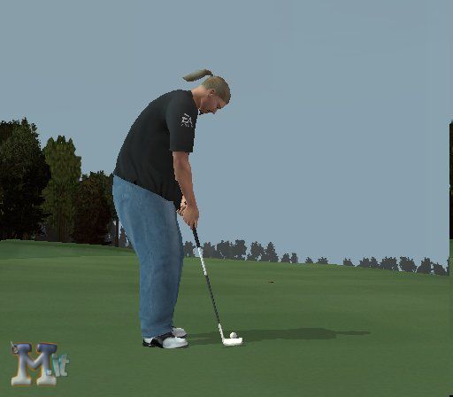 Tiger Woods PGA Tour 2004