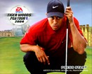 Tiger Woods PGA Tour 2004