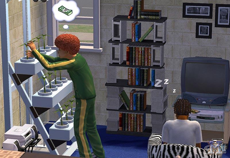 Le molte perle del 2004