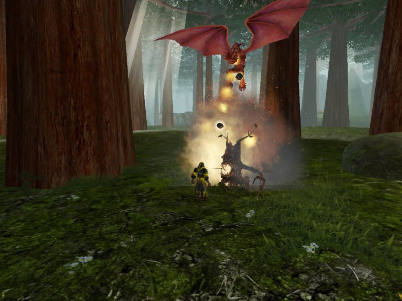 Le molte perle del 2004