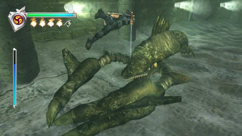 Ninja Gaiden Ninja Gaiden