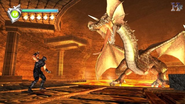 Ninja Gaiden