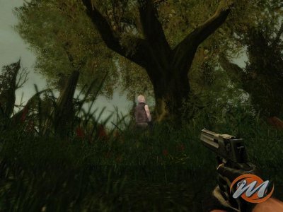 Far Cry Instincts