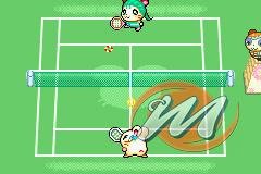 Hamtaro: Ham-Ham Games