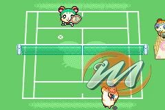 Hamtaro: Ham-Ham Games