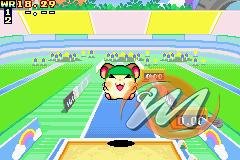 Hamtaro: Ham-Ham Games