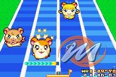 Hamtaro: Ham-Ham Games
