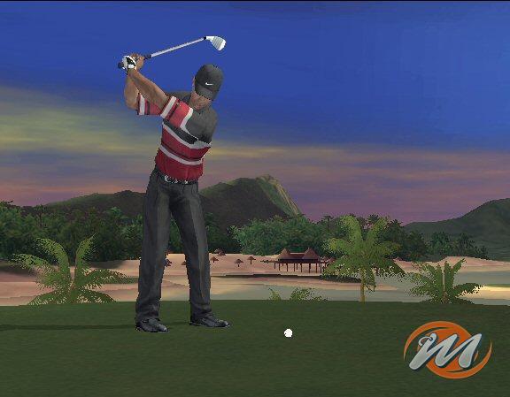 Tiger Woods PGA Tour 2005