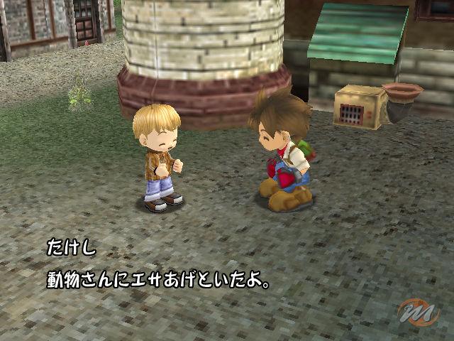 Harvest Moon: A Wonderful Life