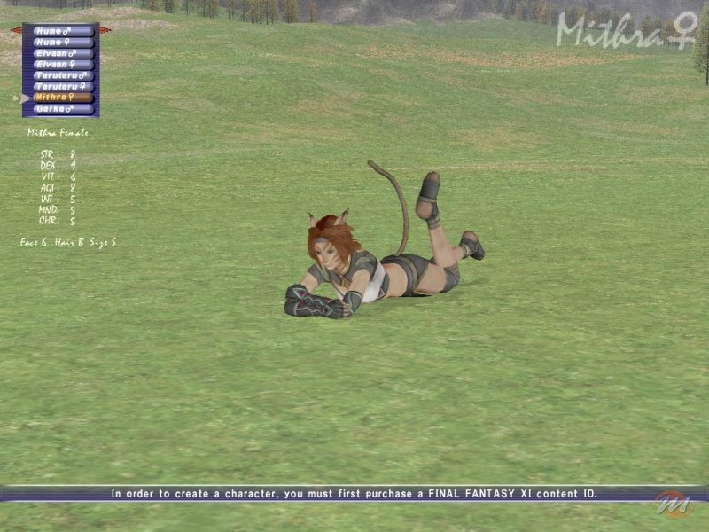 Final Fantasy XI