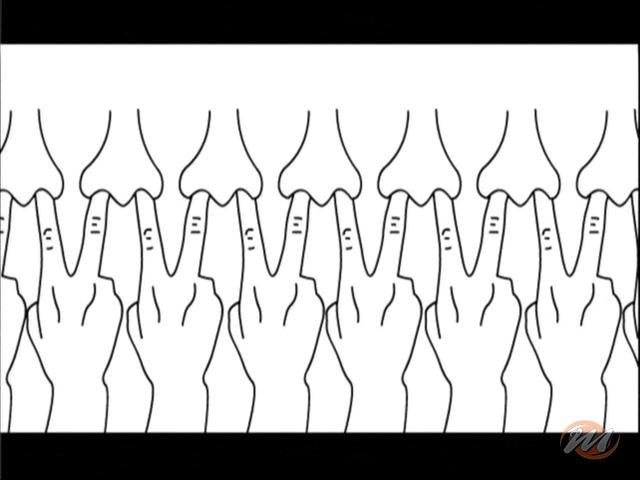 WarioWare Inc.: Mega Party Game$