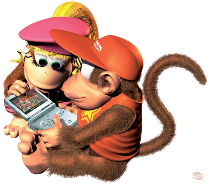 Donkey Kong Country 2