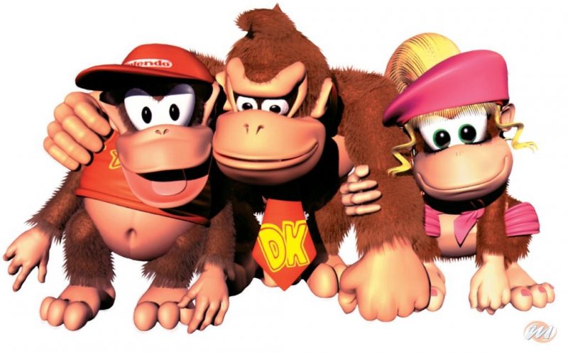 Donkey Kong Country 2
