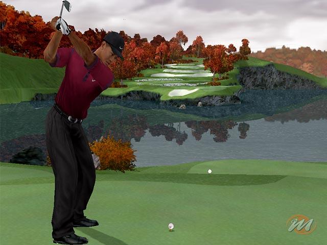 Tiger Woods PGA Tour 2005