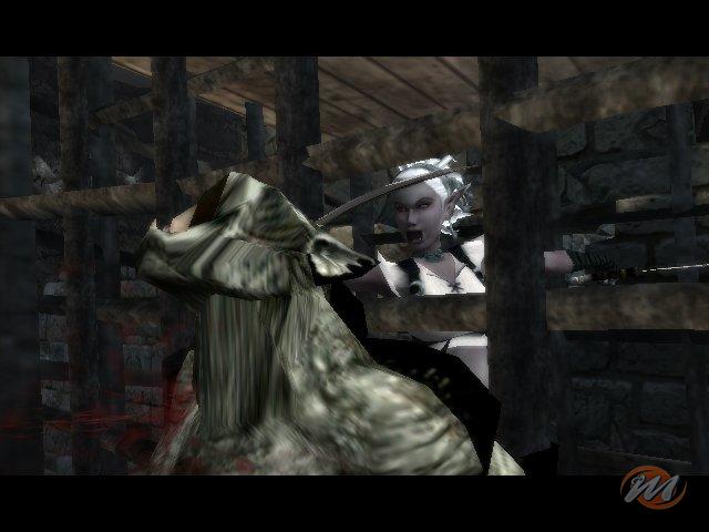 Forgotten Realms: Demon Stone