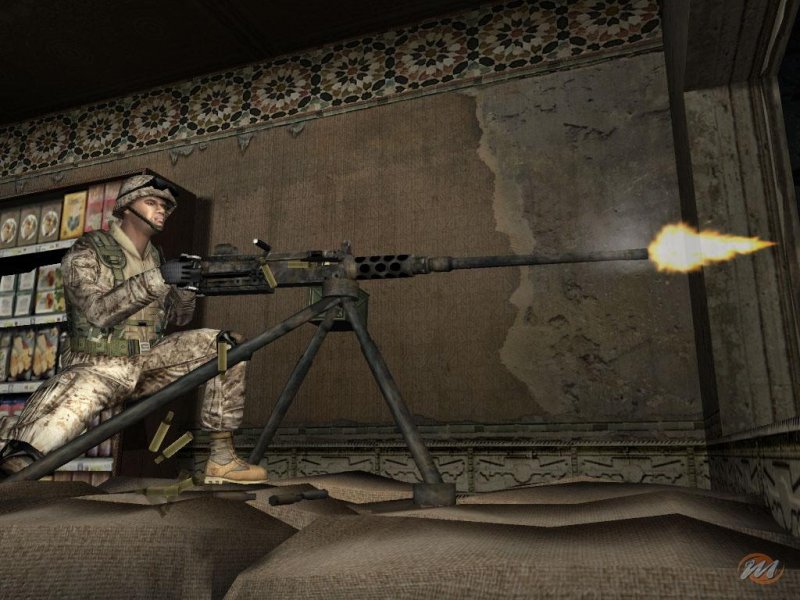 Close Combat: First to Fight