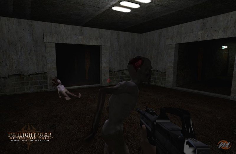 Twilight War: After the Fall