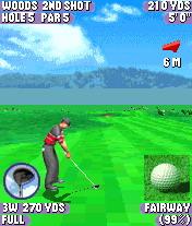 Tiger Woods 2004