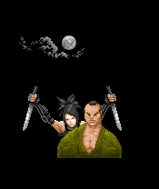 Tenchu - Wrath of Heaven