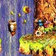 Donkey Kong Country 3