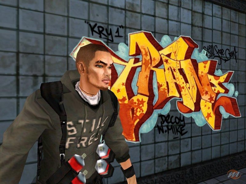 La quantità di graffiti che si possono realizzare è enorme. La quantità di graffiti che si possono realizzare è enorme.