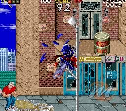 Ninja Gaiden Ninja Gaiden