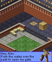 Madagascar: Going Wild