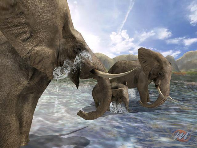Wild Earth: Africa - Recensione