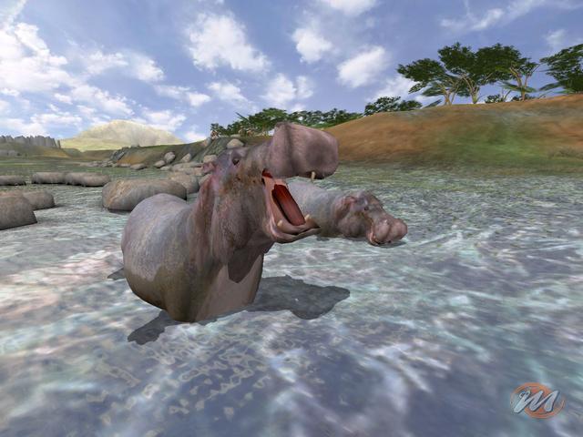 Wild Earth: Africa - Recensione