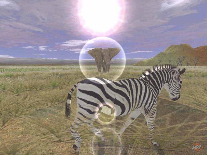 Wild Earth: Africa - Recensione