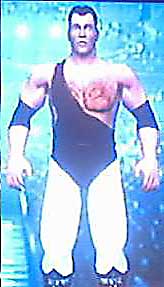 WWE SmackDown! vs RAW