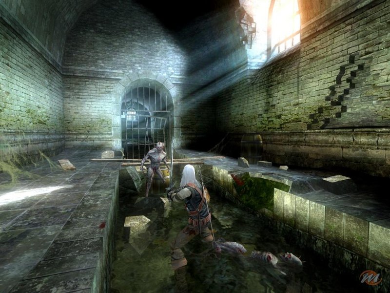 The Witcher