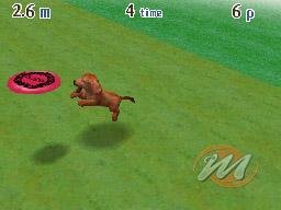 Nintendogs: Chihuahua and Friends
