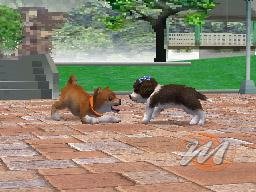 Nintendogs: Chihuahua and Friends