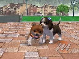 Nintendogs: Chihuahua and Friends