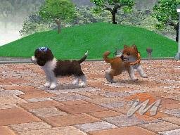 Nintendogs: Chihuahua and Friends