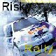 Risky Rally