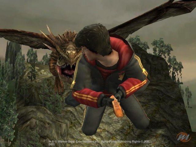 Harry Potter e il Calice di Fuoco