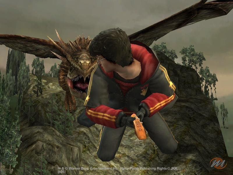 Harry Potter e il Calice di Fuoco